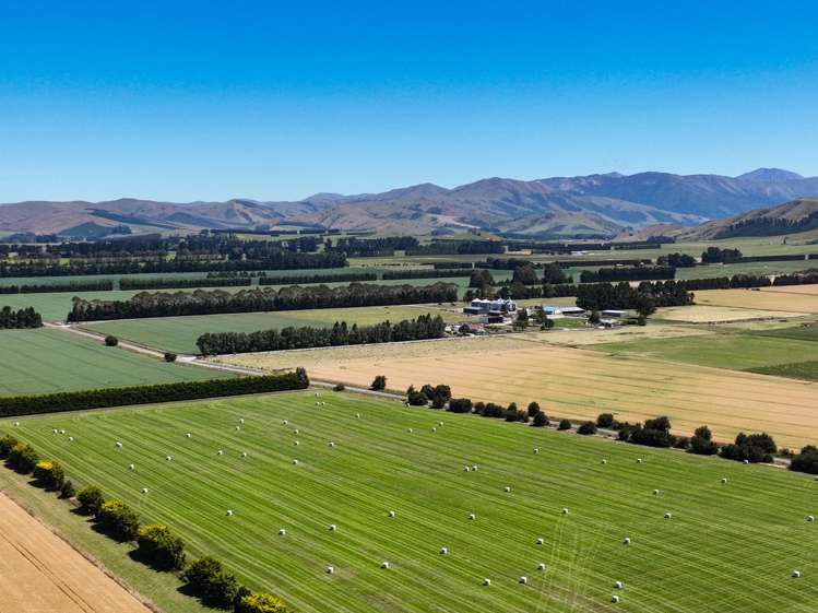588 Freshford Plains Station Road Wendonside_13