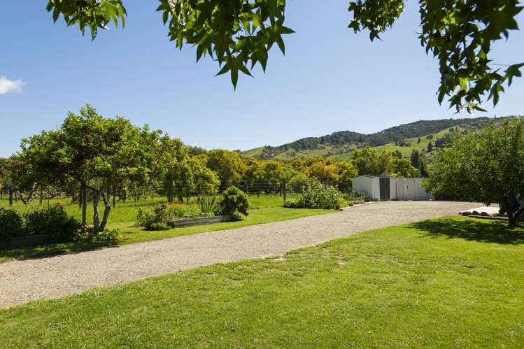 2388 Matawai Road Te Karaka_15