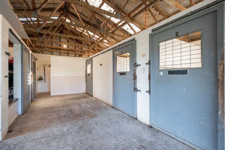 91 Forrest Road Cambridge_17