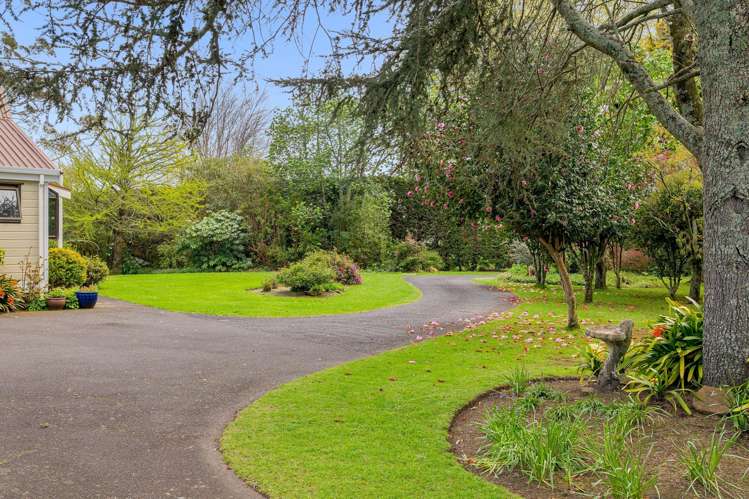 137 Kayelene Place Omokoroa_5