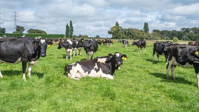 249 Plaskett Road Fernside_3