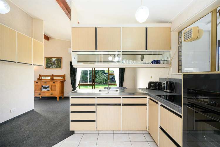 6 Flower Street Bulls_19