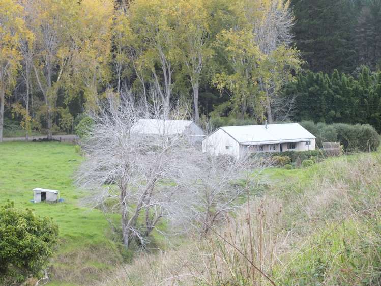 1884 Tangowahine Valley Road Dargaville Surrounds_12