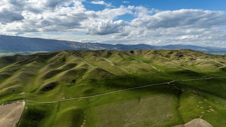 Corrigall Road Chatto Creek_5