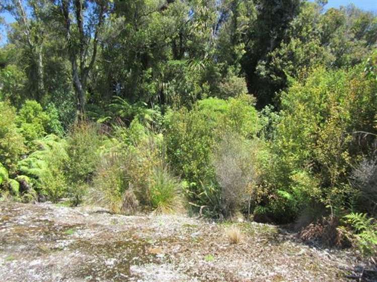 146 Havill Drive Hokitika_4