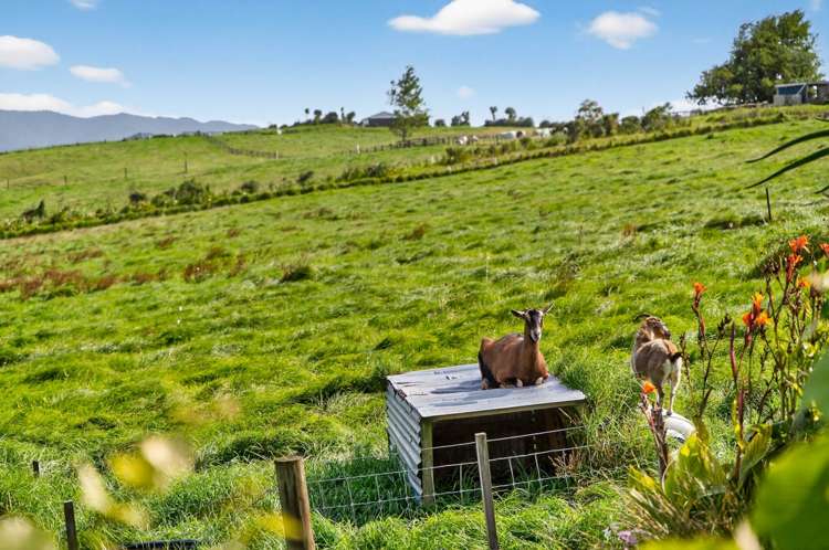 45 Brown Road Kaiwaka_21