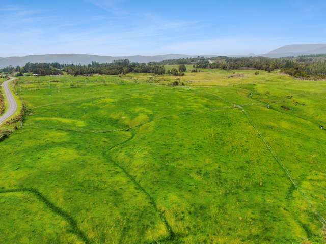 Lot 1 DP3404 Woodstock-Rimu Road Ruatapu_3