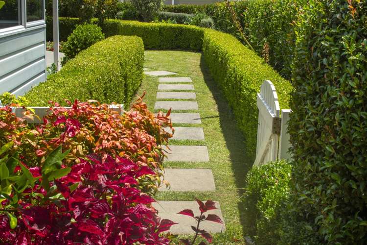 2/674 Ranginui Road Welcome Bay_17