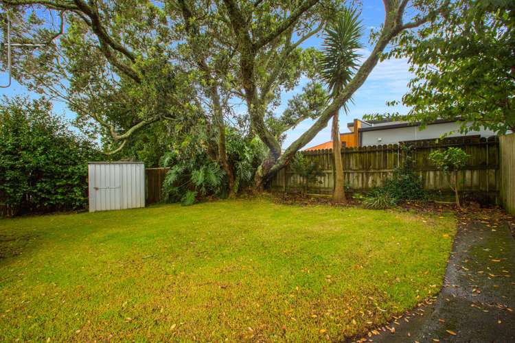 257a Campbell Road Greenlane_9