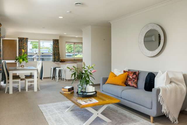 6b Seymour Street Blenheim Central_2