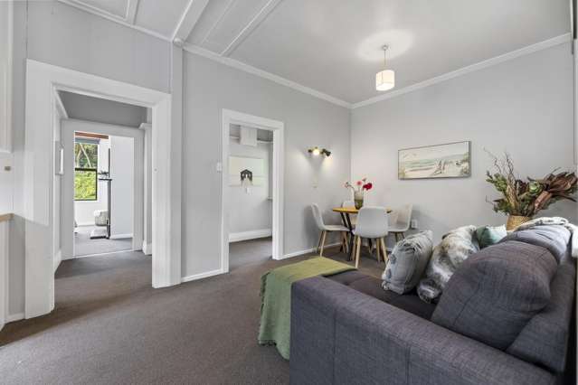 51 Somerville Street Andersons Bay_1