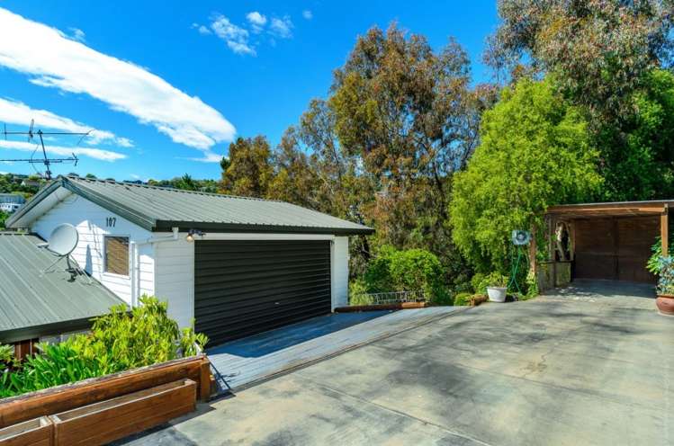 107 Mt Pleasant Road Mount Pleasant_32