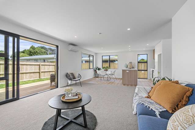 45A Princess Street Waitara_4