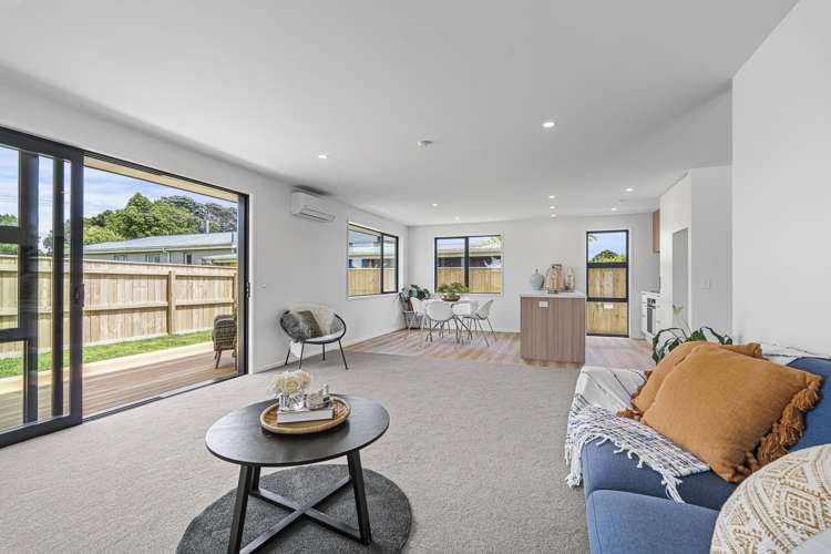 45A Princess Street Waitara_4