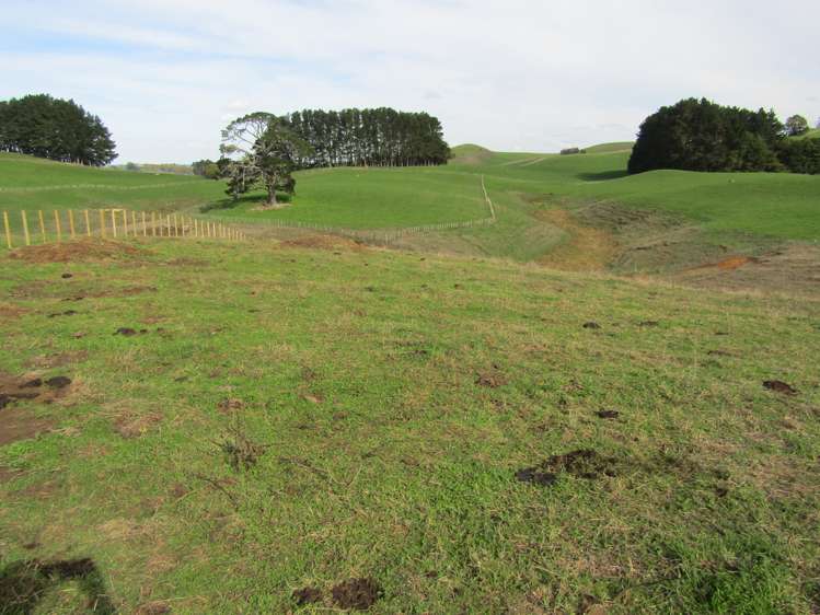 Te Tahi Road Pirongia_0