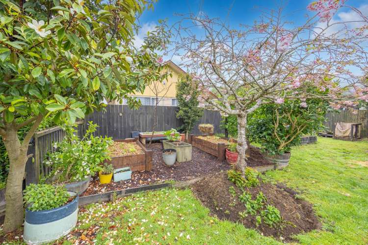 28 Enfield Street Nawton_26