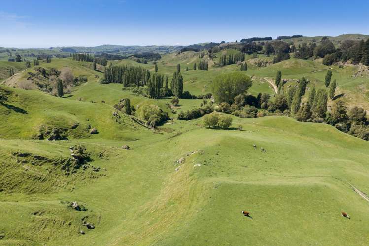 1262 - 1520 Maraetotara Road Waimarama_13
