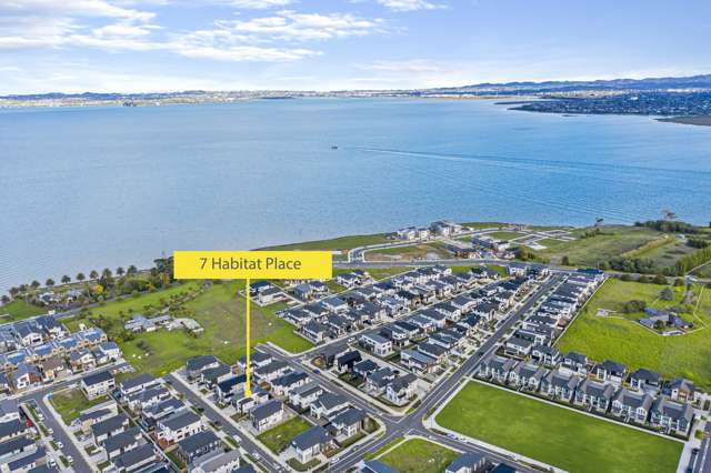 7 Habitat Place Hobsonville_1