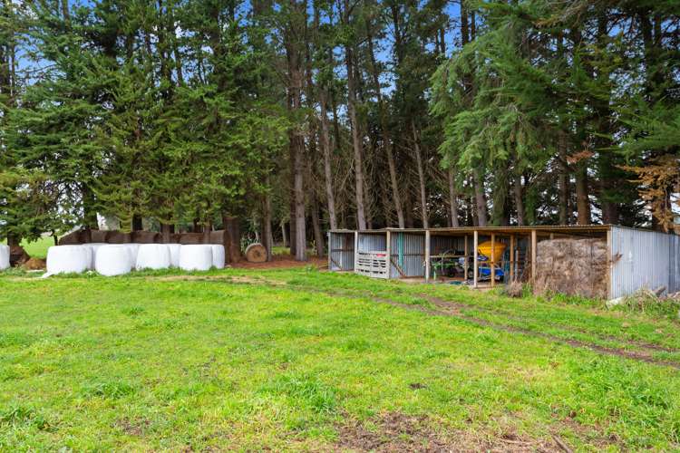 25 Waiau West Road Cheviot_16