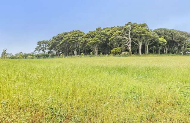 39 Kidd Road Waiuku_3