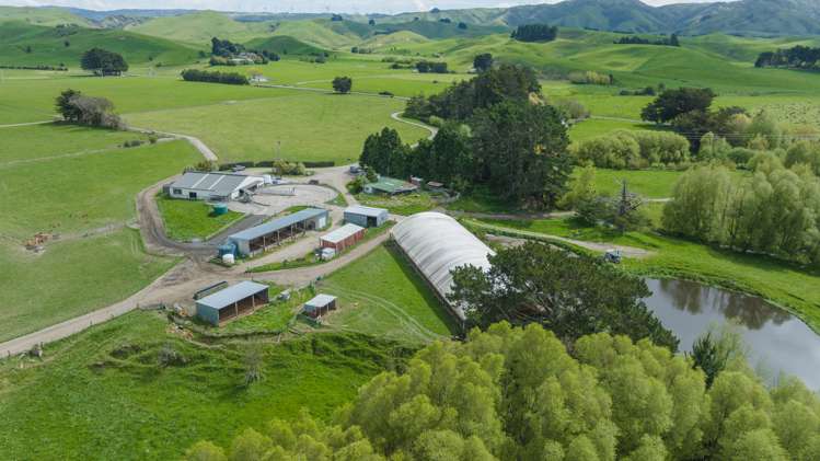 302 Ballance Road Pahiatua_6