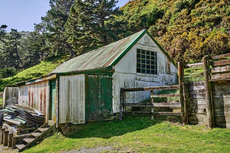 850A Paekakariki Hill Road Paekakariki Hill_25