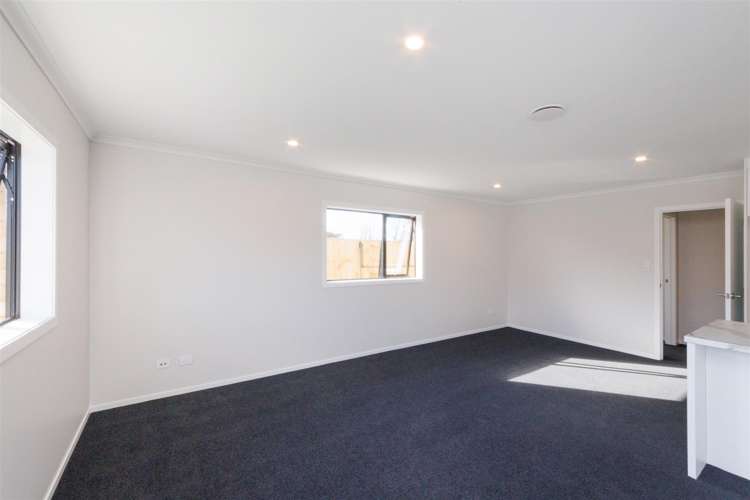 53 Hereford Street Marton_34