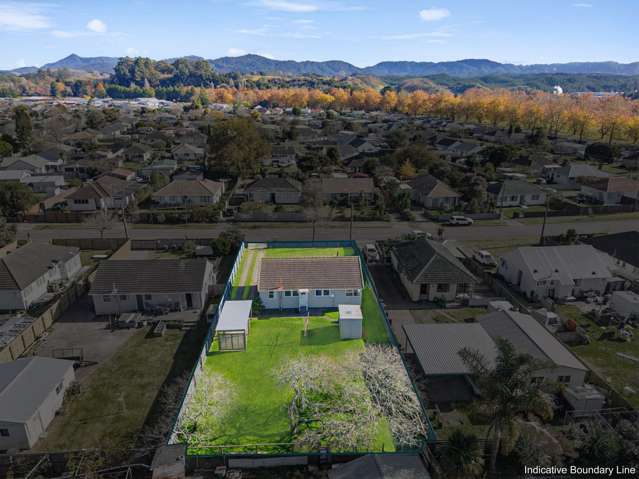 Healthy Homes, Healthy Returns, Huge Section!
