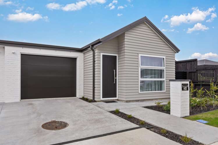 26 Harp Street Morrinsville_1