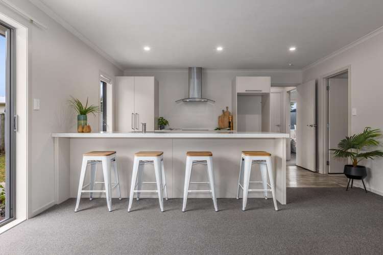 12A Guy Avenue Levin_11