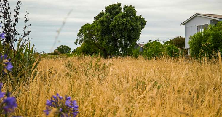 205 Rocking Horse Road Southshore_28