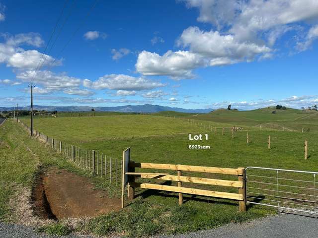 Quine Road Morrinsville_2