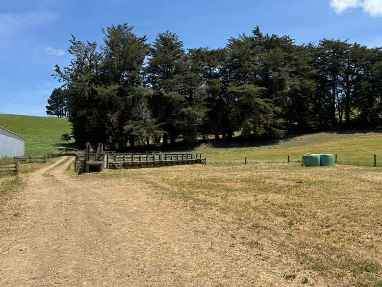 83 Norsewood Ormondville Road Norsewood_5