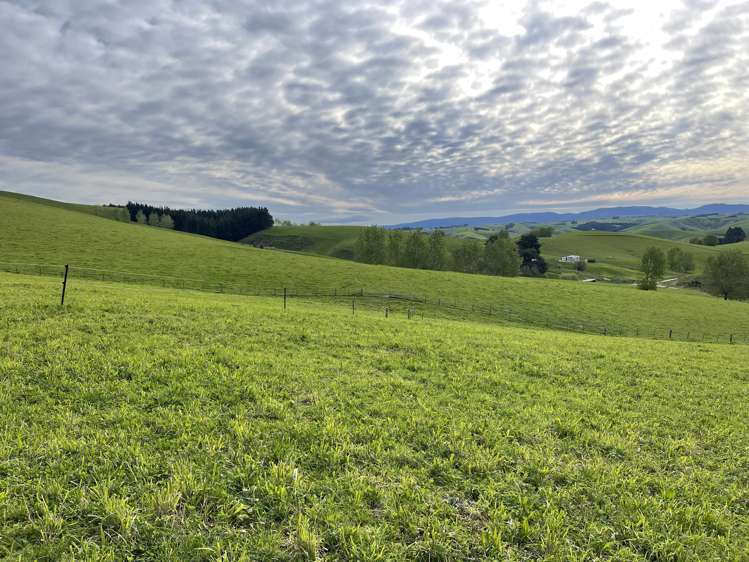 186 Murray Road Lawrence_10