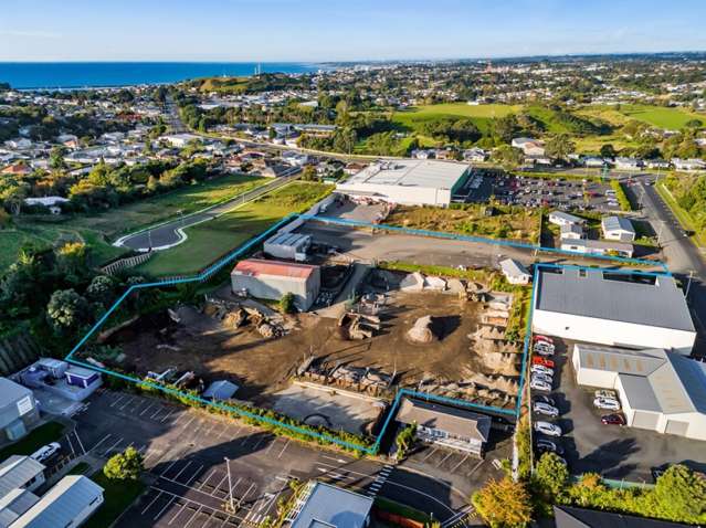 Strategic Industrial Investment