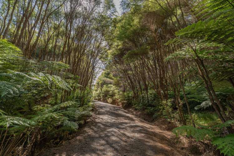 184 Hikuai Settlement Road Hikuai_21