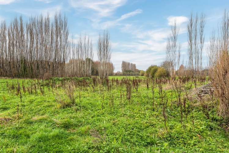 68 Walters Road Marshland_13