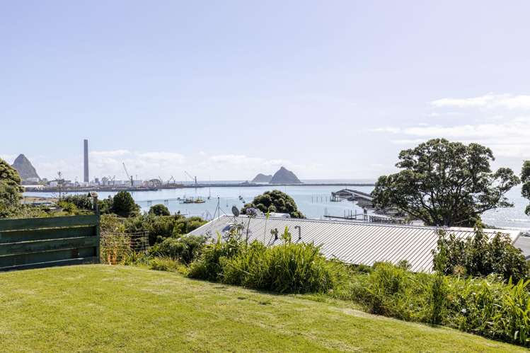 24B Birdwood Avenue Moturoa_5