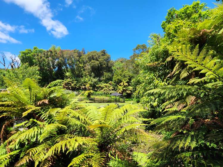 28 Ross Street Dunollie_24