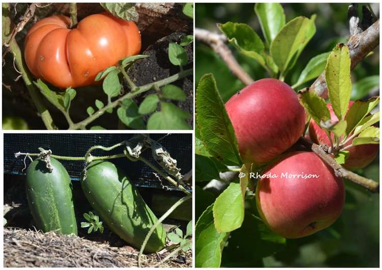 339 Linton Road Maungaturoto_28