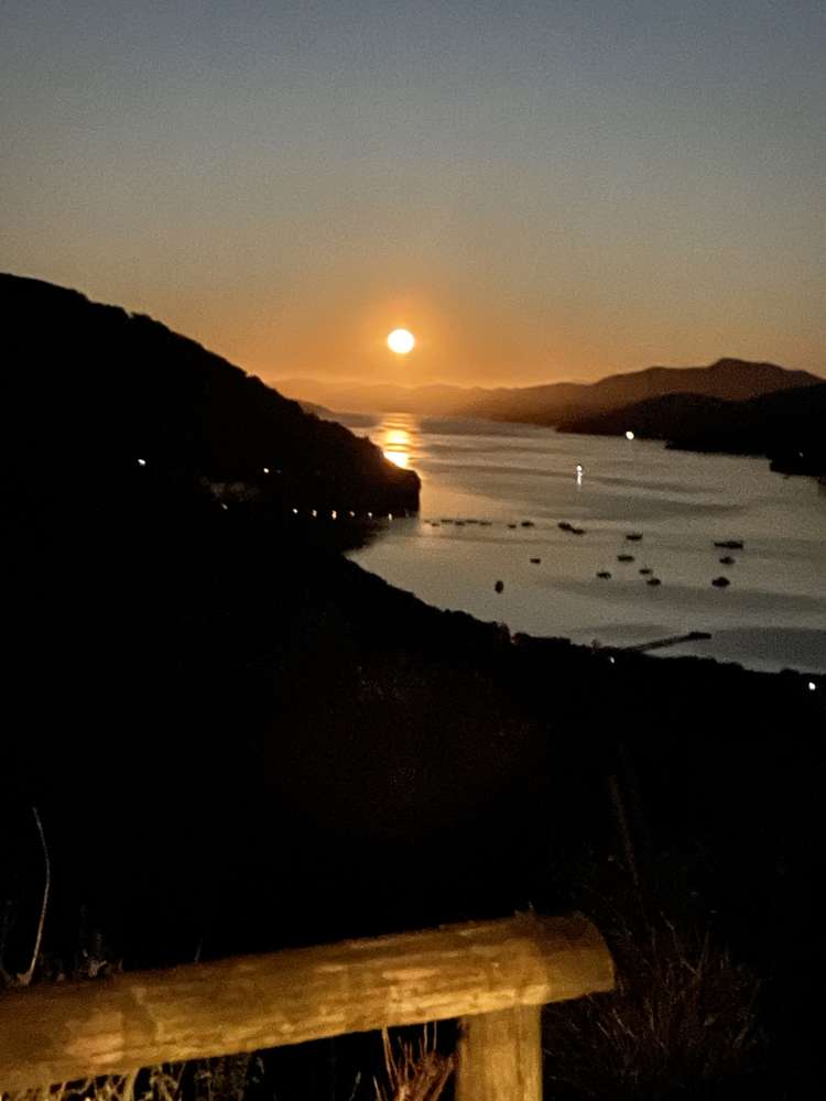 59 Tirimoana Terrace Anakiwa and Surrounds_20