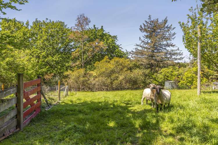 1351 Moutere Highway Upper Moutere_27