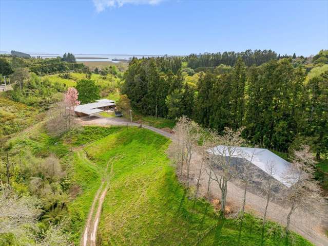 1538 State Highway 2 Whakamarama_1