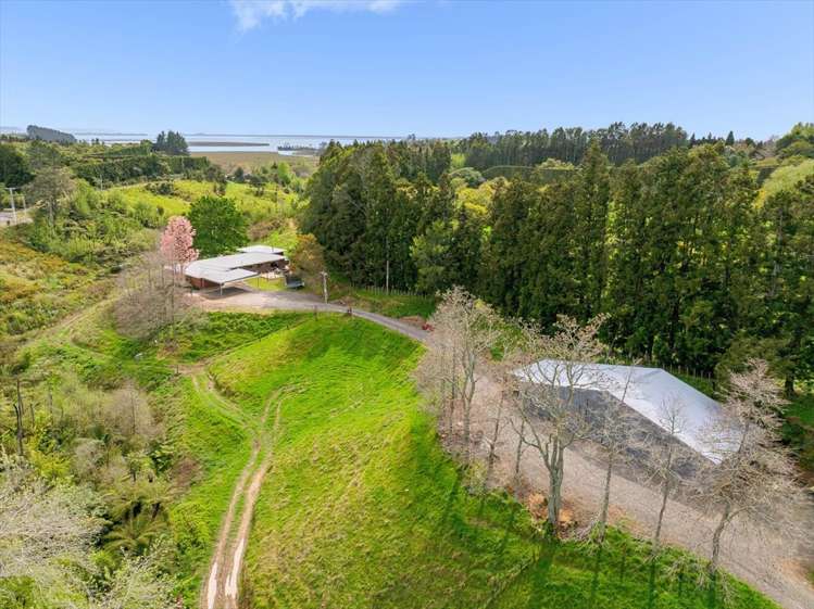 1538 State Highway 2 Whakamarama_1