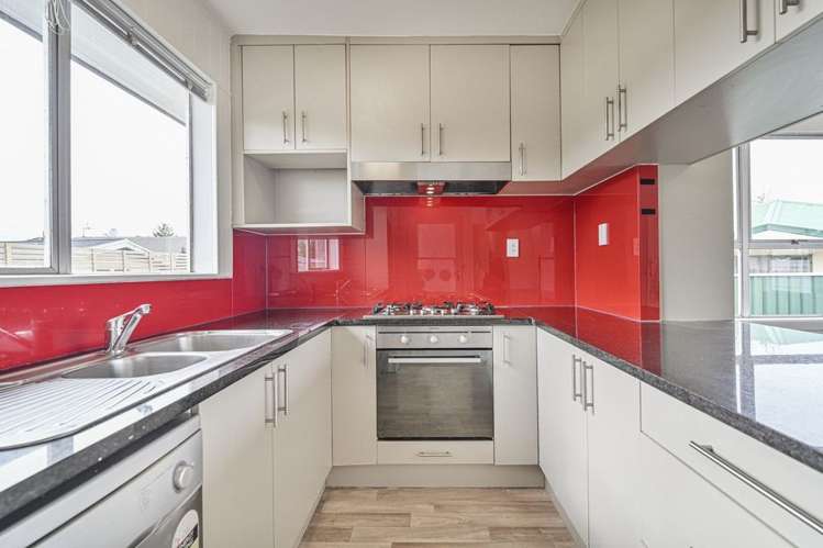 1007c Miro Street Mahora_13