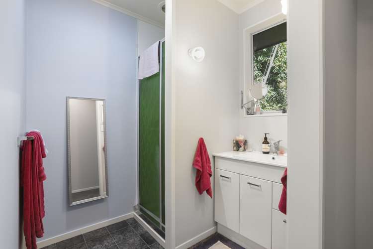 113 Tanekaha Road Titirangi_19