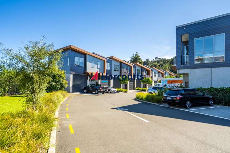 D1/18 Oteha Valley Road Extension Albany_11