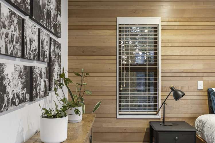 252 Whakamarama Road Whakamarama_22