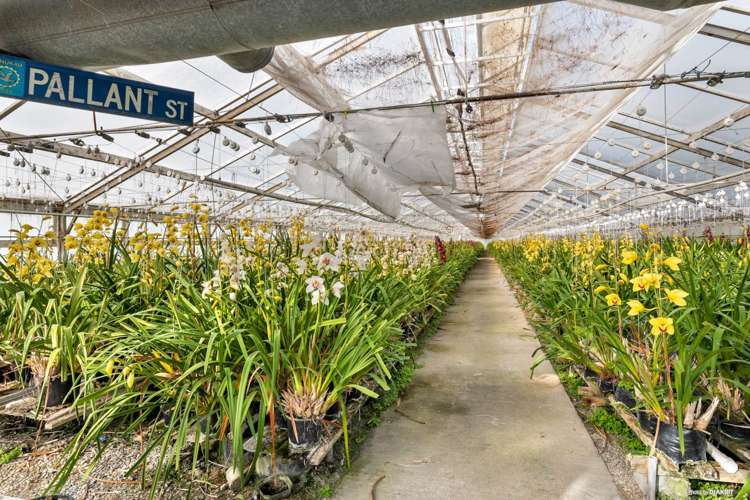 80 Orere-Matingarahi Road Orere Point_10