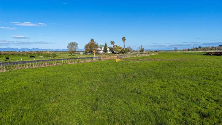 905 Miranda Road Miranda_19